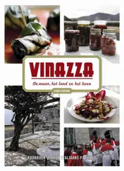 Omslag van Vinazza: de maan, het land en het leven