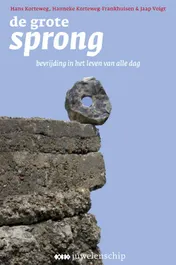 Omslag van De grote sprong