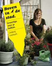 Omslag van Boven in de stad