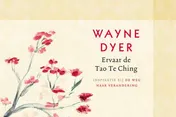 Omslag van Ervaar de Tao Te Ching