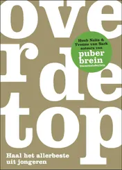 Omslag van Over de top