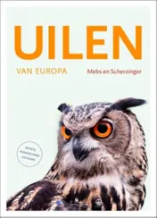 Omslag van Uilen van Europa