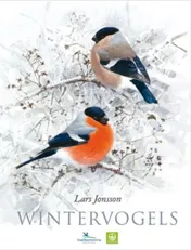 Omslag van Wintervogels