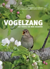 Omslag van Vogelzang