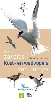 Omslag van Hayman's zakgids kust- en wadvogels