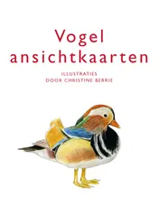 Omslag van Vogelansichtkaarten