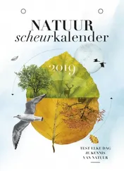 Omslag van 2019