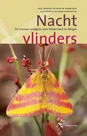 Omslag van Nachtvlinders