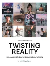 Omslag van Twisting reality