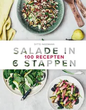 Omslag van Salade in 6 stappen