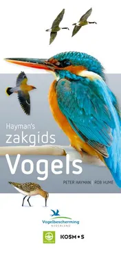 Omslag van Hayman's Zakgids Vogels