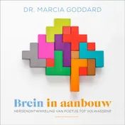 Omslag van Brein in aanbouw