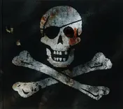 Omslag van Piraten