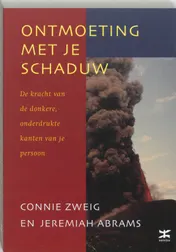 Omslag van Ontmoeting met je schaduw