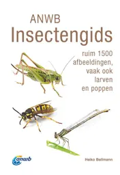 Omslag van ANWB Insectengids