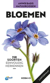 Omslag van Bloemen