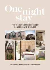 Omslag van One Night Stay