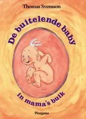 Omslag van De buitelende baby in mama's buik