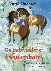 Omslag van De gebroeders Leeuwenhart