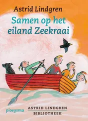 Omslag van Samen op het eiland Zeekraai