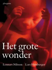 Omslag van Het grote wonder