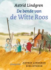 Omslag van De bende van de Witte Roos