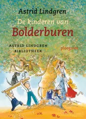Omslag van De kinderen van Bolderburen