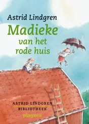 Omslag van Madieke van het rode huis
