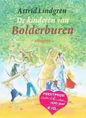 Omslag van De kinderen van Bolderburen
