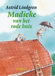 Omslag van Madieke van het rode huis