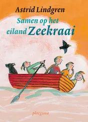 Omslag van Samen op het eiland Zeekraai