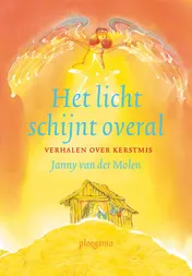 Omslag van Het licht schijnt overal