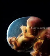 Omslag van Begin van een leven