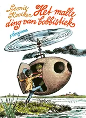 Omslag van Het malle ding van Bobbistiek