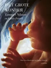 Omslag van Het grote wonder