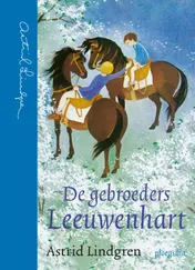 Omslag van De gebroeders Leeuwenhart