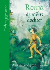 Omslag van Ronja de roversdochter