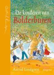 Omslag van De kinderen van Bolderburen