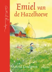 Omslag van Emiel van de Hazelhoeve