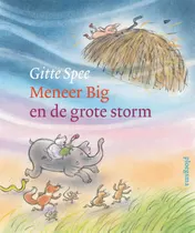 Omslag van Meneer Big en de grote storm