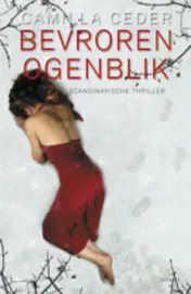 Omslag van Bevroren ogenblik
