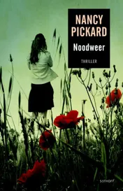 Omslag van Noodweer
