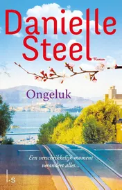 Omslag van Ongeluk