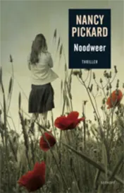 Omslag van Noodweer