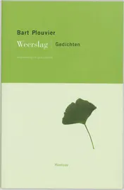 Omslag van Weerslag