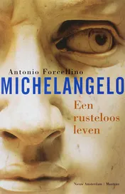 Omslag van Michelangelo
