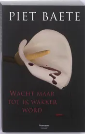 Omslag van Wacht maar tot ik wakker word