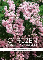 Omslag van 101 rozen zonder zorgen