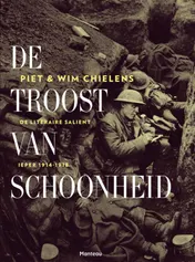 Omslag van De troost van schoonheid