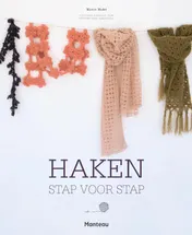 Omslag van Haken stap-voor-stap